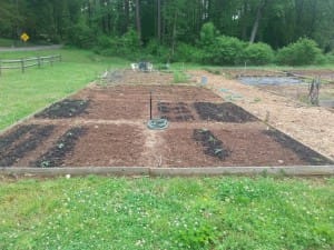 Soil From a Community Garden in Woodstock.