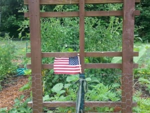 A display of patriotism at the Woodstock Community Garden.