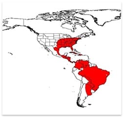 Asian Tiger Mosquito range in the U.S.