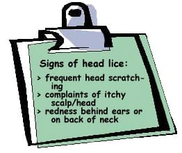 Head lice signs
