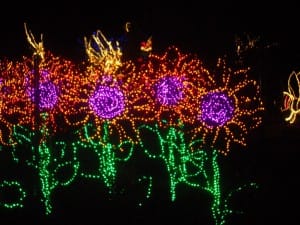 From the Atlanta Botanical Garden's Christmas Light Show