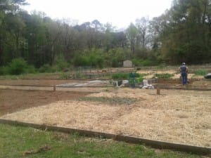 The in-ground gardens at Woodstock Community Garden make it easy for a tiller to work the soil.