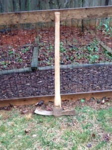 An old fashion mattock may be your only tool for some modified rotation in your community garden plots.