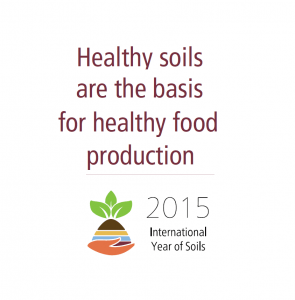 International Year of Soils: Raising Awareness of Soil's Importance