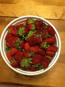 Making Fresh Strawberry Jam - A Guest Post by Cindee Sweda