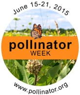 Pollinator Week 2015