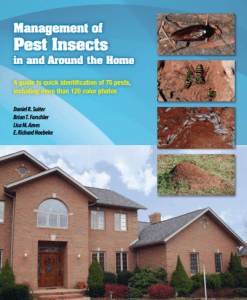 Practice Proactive Pest Management