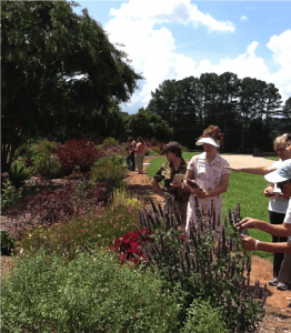 Conservation Garden - Bee, Butterfly and Beneficial Insects