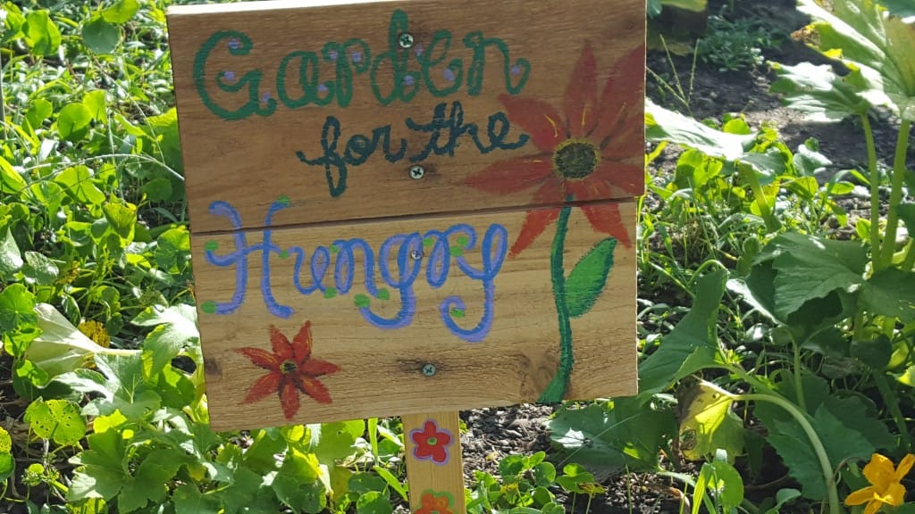 Using Signs in Your Georgia Community and School Garden