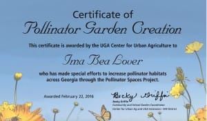 This is the Year to Add Pollinator Spaces to Your Garden
