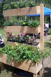 Horticultural Therapy Week in Georgia